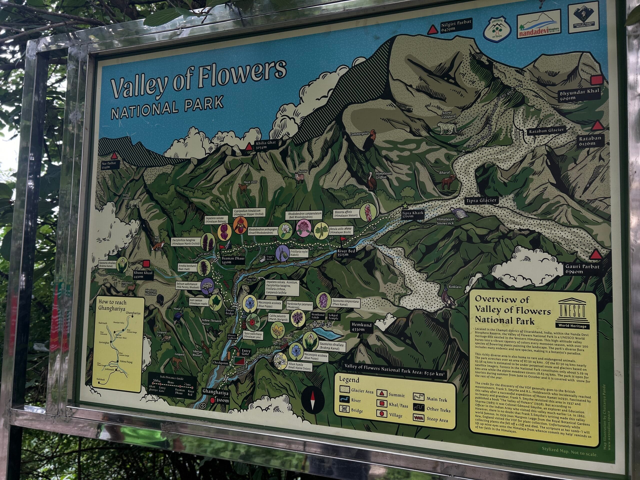 Valley of Flowers